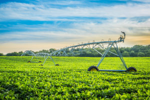 Agri-Waste Technology - Consulting