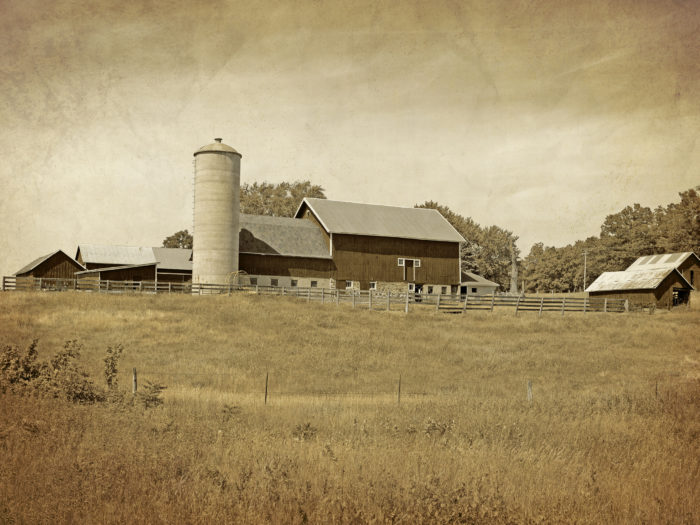 Agri-Waste Technology - Rustic Farm Land
