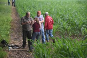 Students observe soil from a corn field